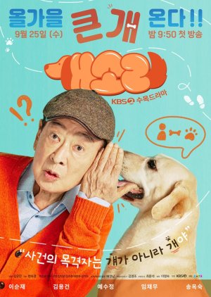 Dog Knows Everything (2024) Episode 8